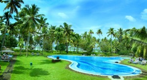 coconut-lagun-kerala-pool